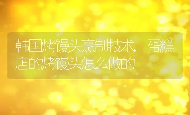 韩国烤馒头烹制技术,蛋糕店的烤馒头怎么做的 | 养殖学堂