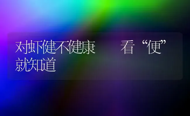 对虾健不健康  看“便”就知道 | 养殖技术大全