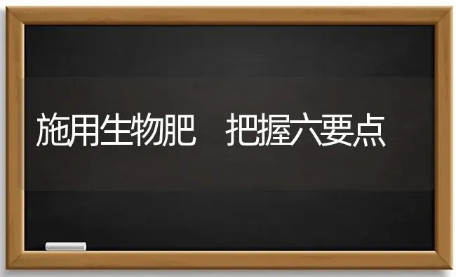 施用生物肥 把握六要点 | 养殖技术大全