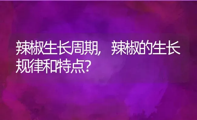 辣椒生长周期,辣椒的生长规律和特点？ | 养殖科普