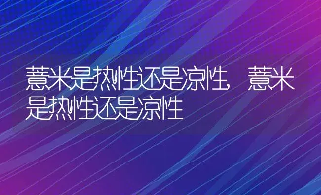 薏米是热性还是凉性,薏米是热性还是凉性 | 养殖科普