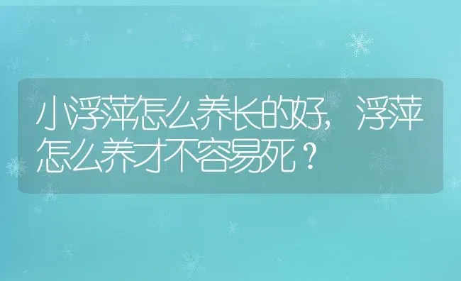 小浮萍怎么养长的好,浮萍怎么养才不容易死？ | 养殖科普