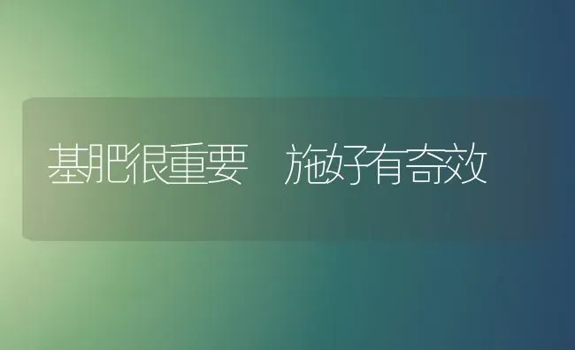 基肥很重要 施好有奇效 | 养殖技术大全