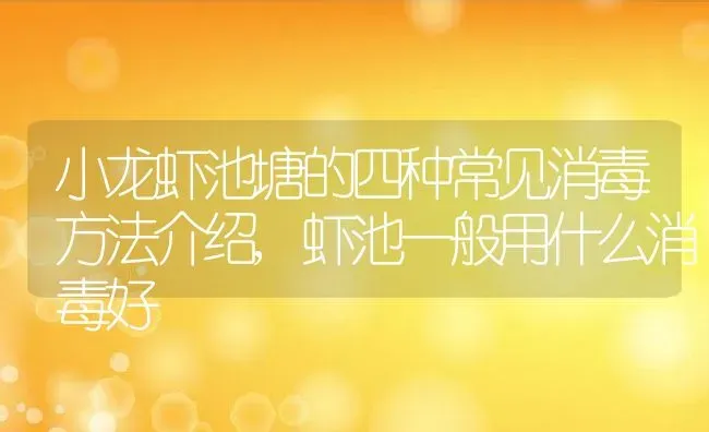 小龙虾池塘的四种常见消毒方法介绍,虾池一般用什么消毒好 | 养殖学堂