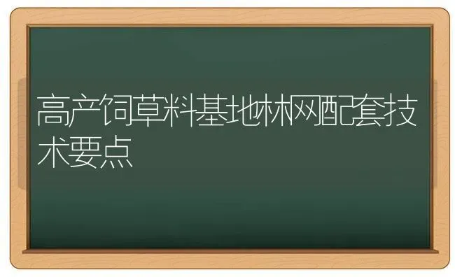 高产饲草料基地林网配套技术要点 | 养殖技术大全