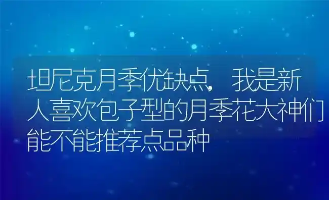 坦尼克月季优缺点,我是新人喜欢包子型的月季花大神们能不能推荐点品种 | 养殖学堂