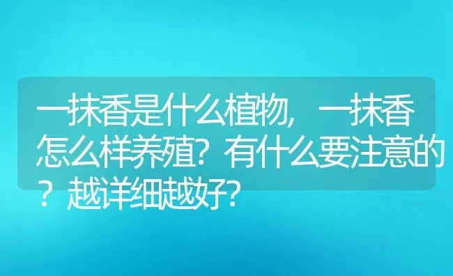 一抹香是什么植物,一抹香怎么样养殖？有什么要注意的？越详细越好？ | 养殖科普