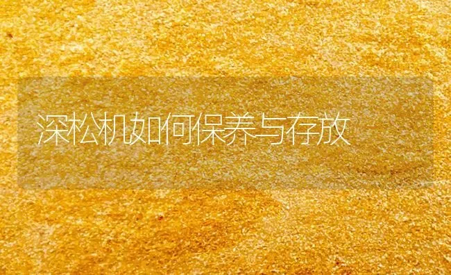 深松机如何保养与存放 | 养殖技术大全