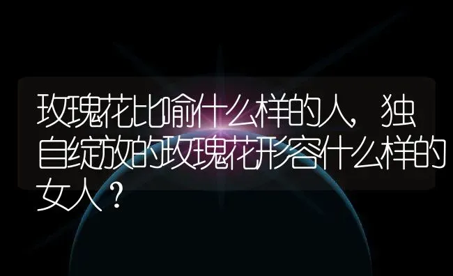 玫瑰花比喻什么样的人,独自绽放的玫瑰花形容什么样的女人？ | 养殖学堂