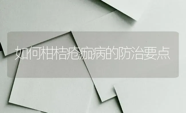 如何柑桔疮痂病的防治要点 | 养殖技术大全