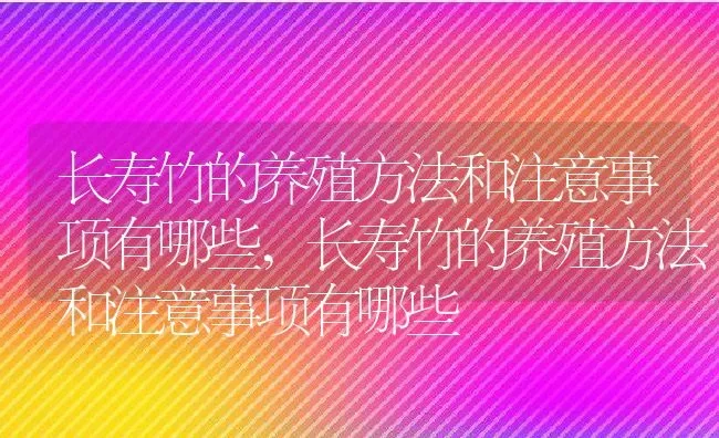 长寿竹的养殖方法和注意事项有哪些,长寿竹的养殖方法和注意事项有哪些 | 养殖科普