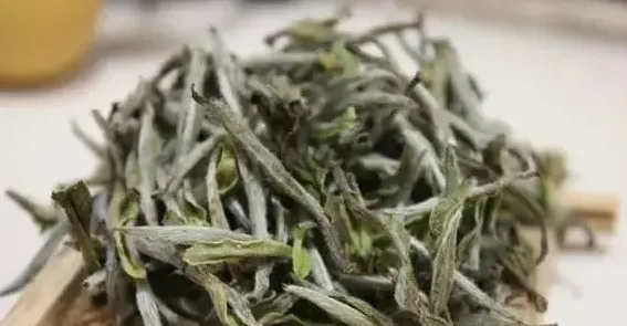 老白茶是什么茶,老白茶和小白茶的区别？