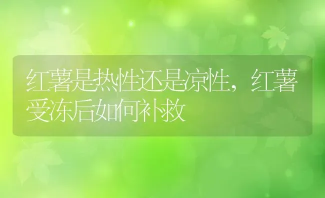 红薯是热性还是凉性,红薯受冻后如何补救 | 养殖学堂