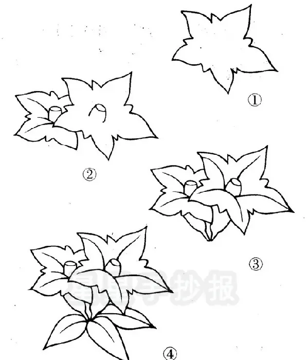 杜鹃花怎么画,黄鹂与杜鹃简笔画？