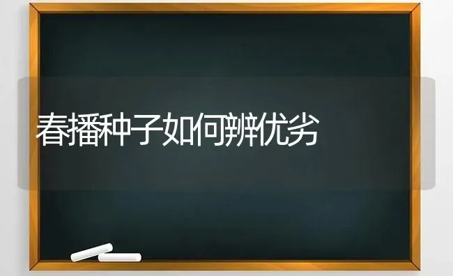 春播种子如何辨优劣 | 养殖知识
