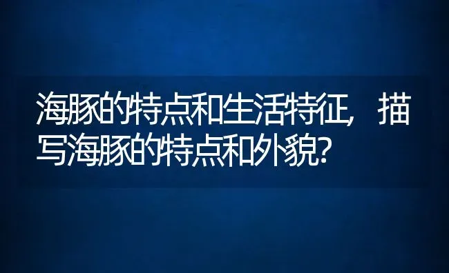 海豚的特点和生活特征,描写海豚的特点和外貌？ | 养殖科普