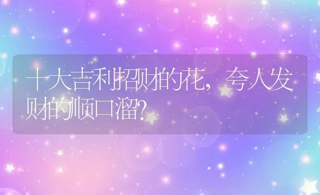 十大吉利招财的花,夸人发财的顺口溜？ | 养殖科普