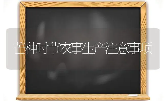 芒种时节农事生产注意事项 | 养殖知识