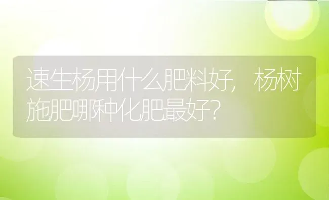 速生杨用什么肥料好,杨树施肥哪种化肥最好？ | 养殖科普