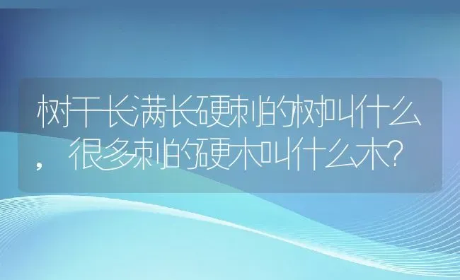 树干长满长硬刺的树叫什么,很多刺的硬木叫什么木？ | 养殖科普