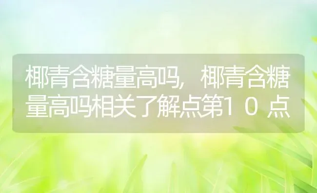 椰青含糖量高吗,椰青含糖量高吗相关了解点第10点 | 养殖学堂
