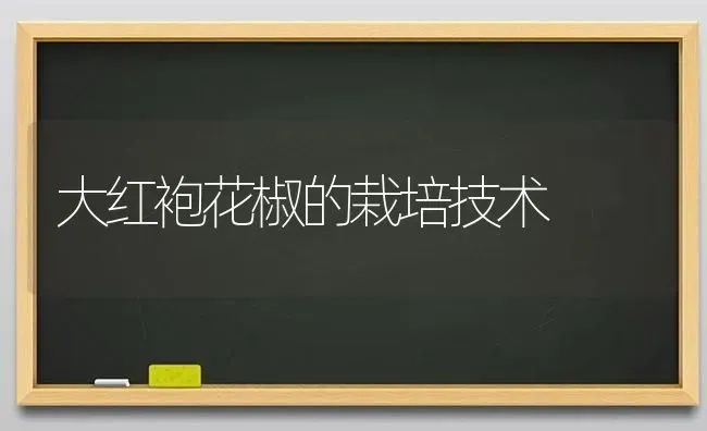 大红袍花椒的栽培技术 | 养殖技术大全