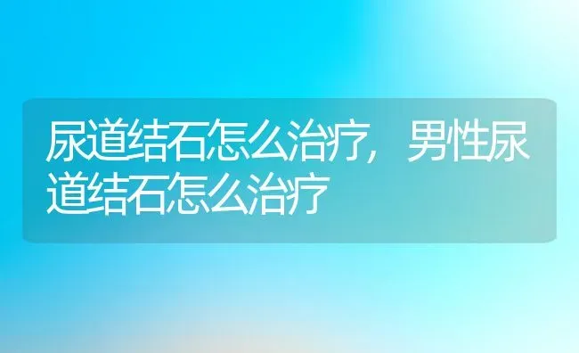 尿道结石怎么治疗,男性尿道结石怎么治疗 | 养殖科普