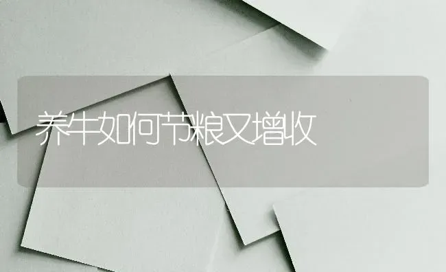 养牛如何节粮又增收 | 养殖技术大全