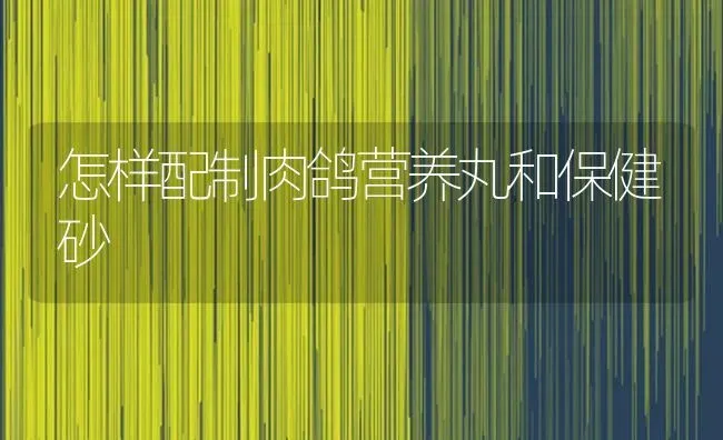 怎样配制肉鸽营养丸和保健砂 | 养殖技术大全