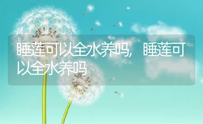 睡莲可以全水养吗,睡莲可以全水养吗 | 养殖科普