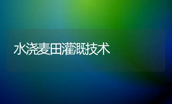 水浇麦田灌溉技术 | 养殖技术大全