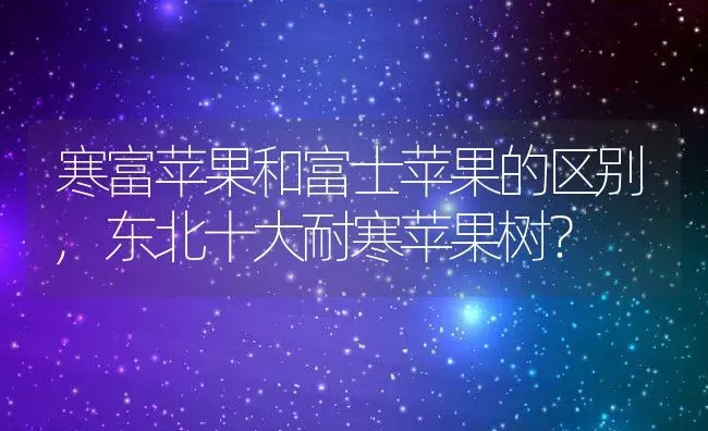 寒富苹果和富士苹果的区别,东北十大耐寒苹果树？ | 养殖学堂