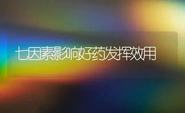 七因素影响好药发挥效用 | 养殖技术大全
