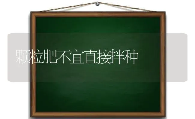 颗粒肥不宜直接拌种 | 养殖知识