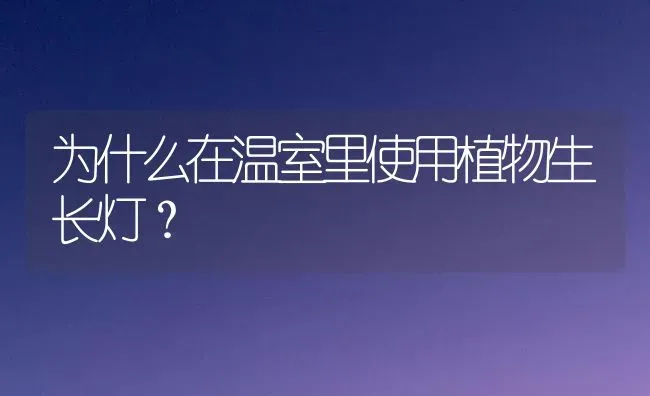 为什么在温室里使用植物生长灯? | 养殖知识