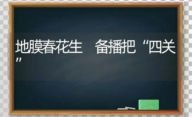 地膜春花生 备播把“四关” | 养殖技术大全