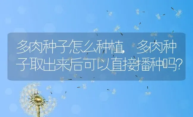 多肉种子怎么种植,多肉种子取出来后可以直接播种吗？ | 养殖科普