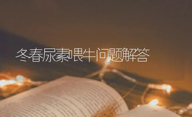 冬春尿素喂牛问题解答 | 养殖知识