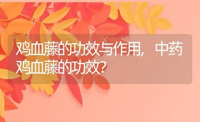 鸡血藤的功效与作用,中药鸡血藤的功效？ | 养殖科普