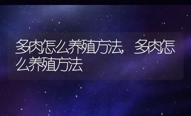 多肉怎么养殖方法,多肉怎么养殖方法 | 养殖学堂