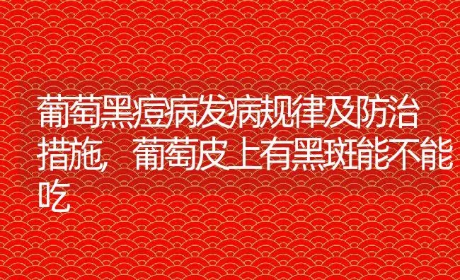 葡萄黑痘病发病规律及防治措施,葡萄皮上有黑斑能不能吃 | 养殖学堂