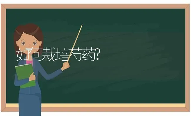 如何栽培芍药? | 养殖知识