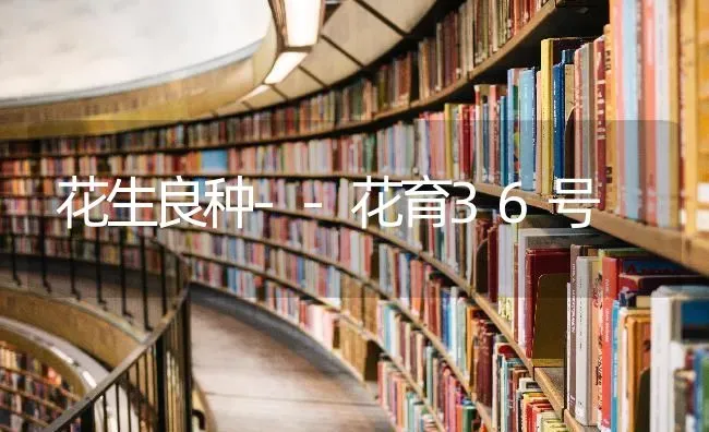 花生良种--花育36号 | 养殖知识