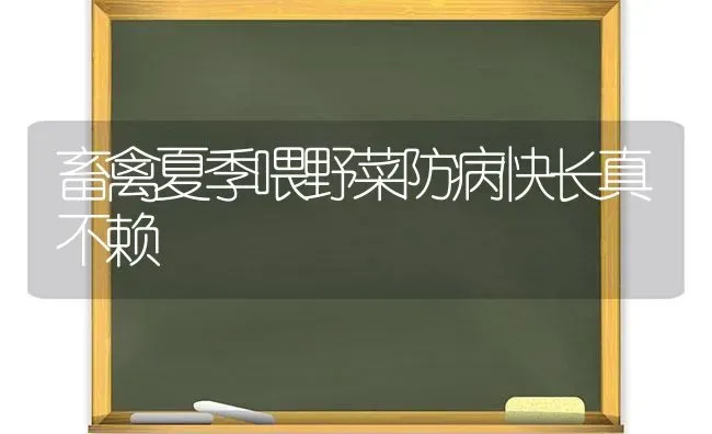 冬季让瘦牛变壮有高招 | 养殖技术大全
