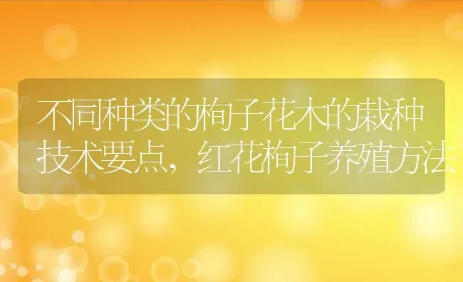 不同种类的栒子花木的栽种技术要点,红花栒子养殖方法 | 养殖学堂