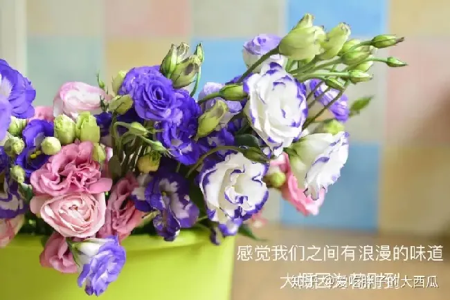 怎么判断醒花醒好了,为什么百合醒花花瓣不开？