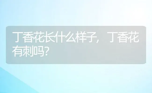 丁香花长什么样子,丁香花有刺吗？ | 养殖科普
