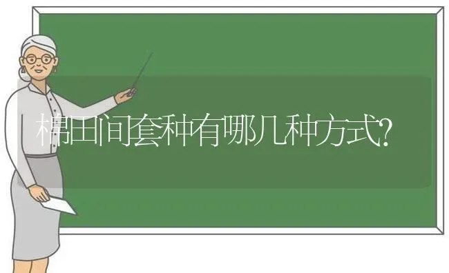 棉田间套种有哪几种方式? | 养殖知识