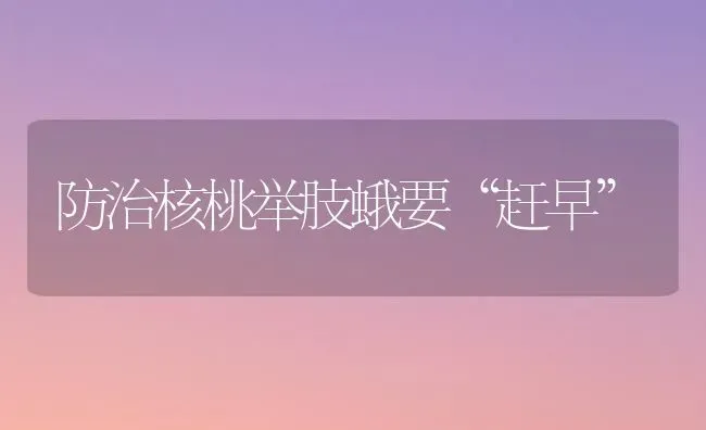 防治核桃举肢蛾要“赶早” | 养殖技术大全