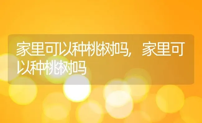 家里可以种桃树吗,家里可以种桃树吗 | 养殖科普